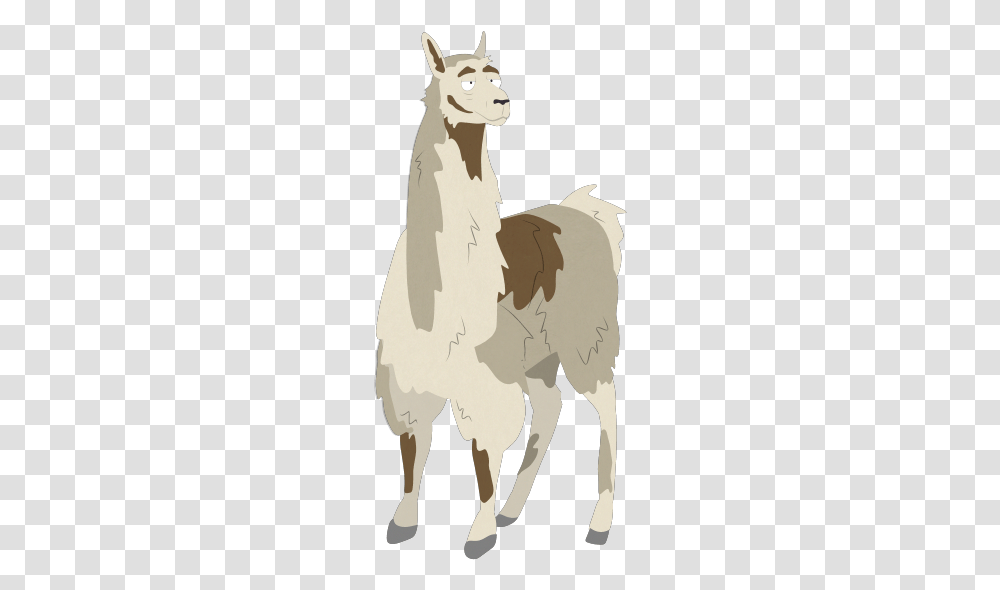 South Park Llama, Person, Mammal Transparent Png