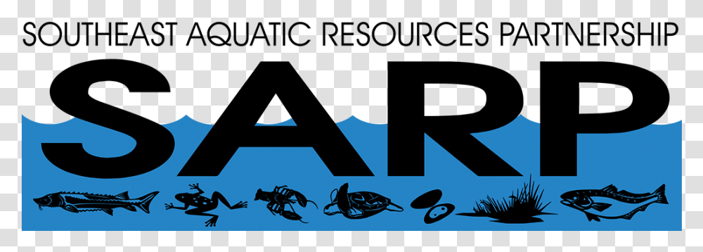 Southeast Aquatic Resources Partnership Graphics, Silhouette, Airplane, Vehicle, Transportation Transparent Png