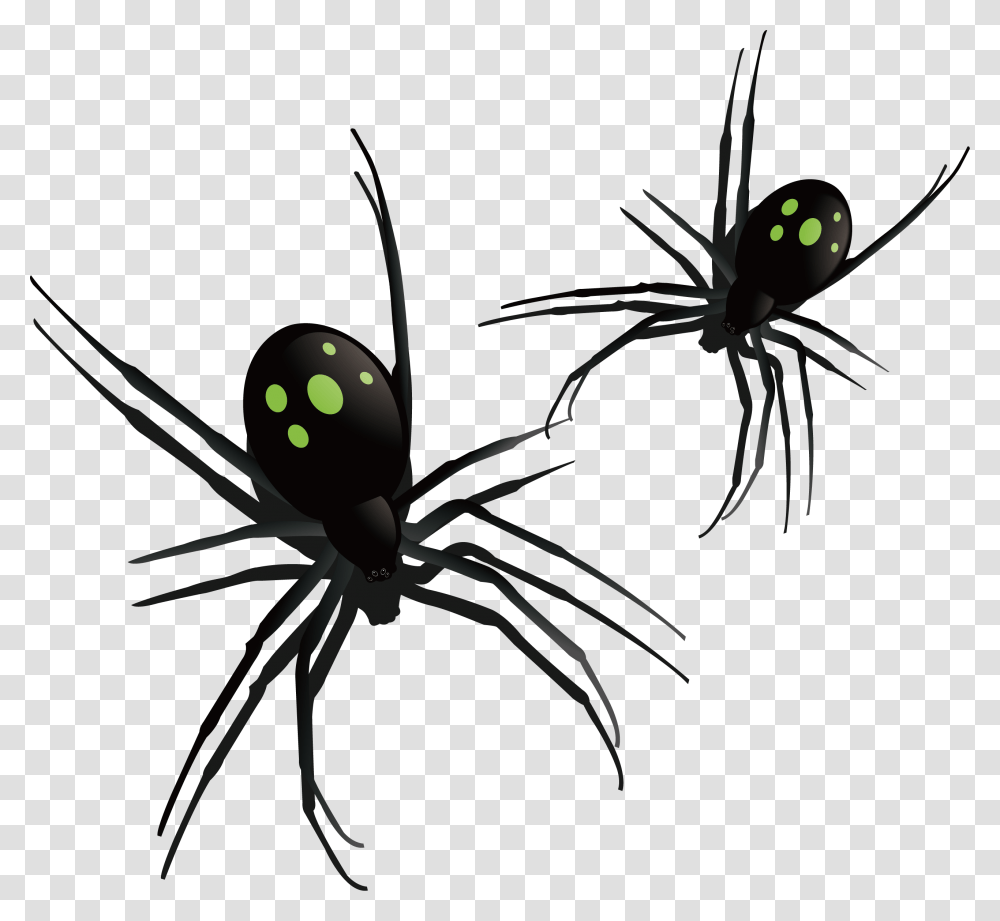 Southern Black Widow Spider Insect Pattern Southern Black Widow, Invertebrate, Animal, Garden Spider, Arachnid Transparent Png