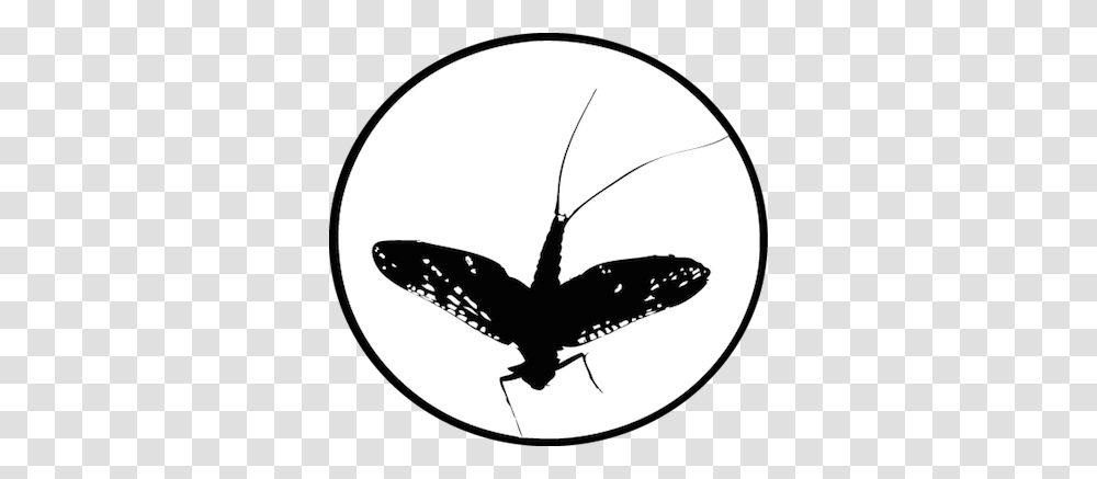 Southern Culture On The Fly Magazine, Insect, Invertebrate, Animal, Butterfly Transparent Png