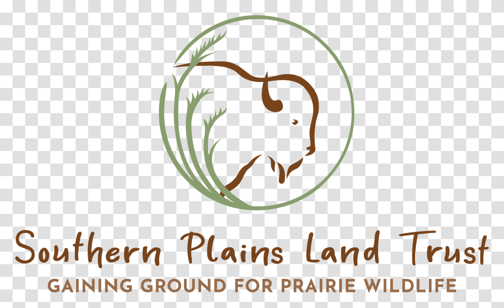 Southern Plains Land Trust, Animal, Mammal, Wildlife Transparent Png