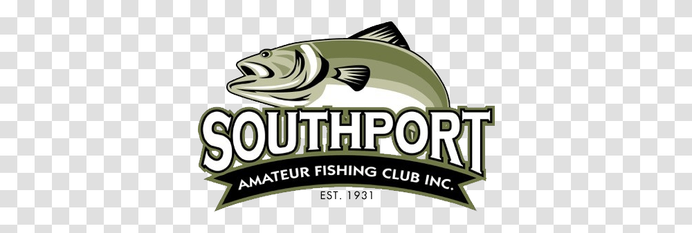 Southport Amateur Fishing Club Trout, Animal, Sea Life, Flyer, Poster Transparent Png