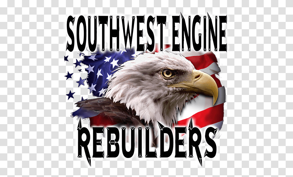 Southwest Engine Rebuilders Bald Eagle, Bird, Animal, Chicken, Poultry Transparent Png