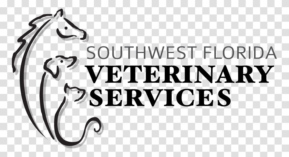 Southwest Fl Vet Final Logo Calligraphy, Alphabet, Animal, Chair Transparent Png