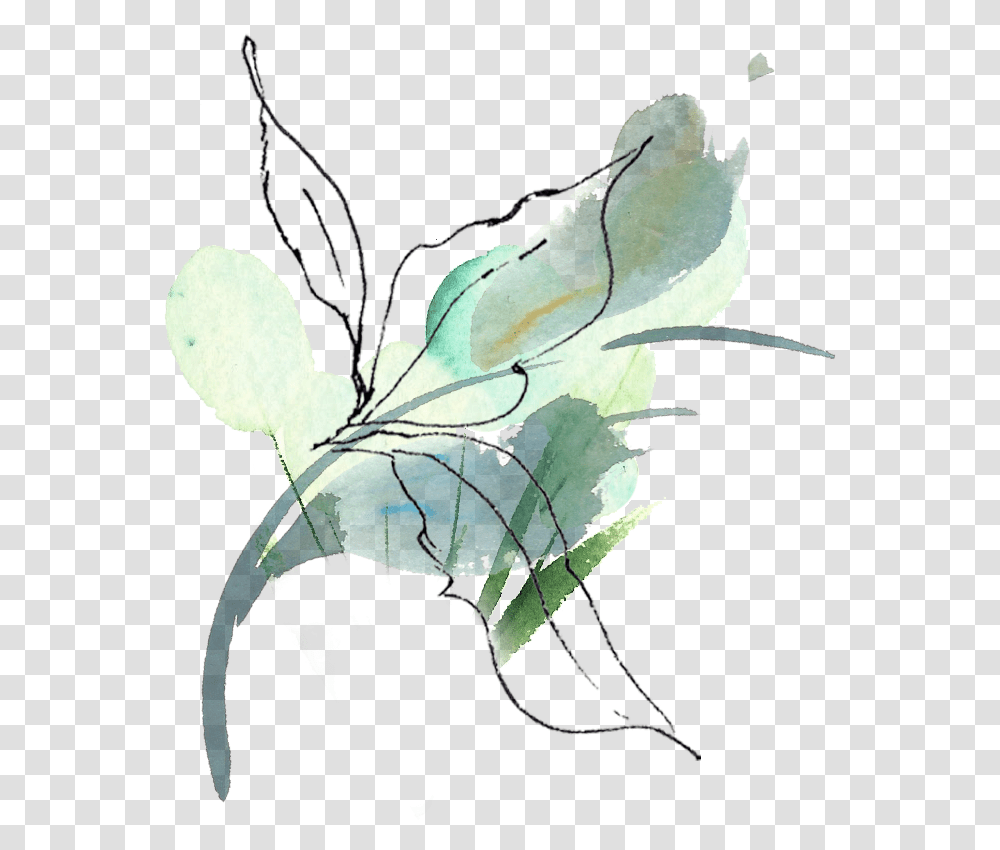 Sow A Seed - Behind The Confident Smile Sketch, Plant, Flower, Acanthaceae, Leaf Transparent Png
