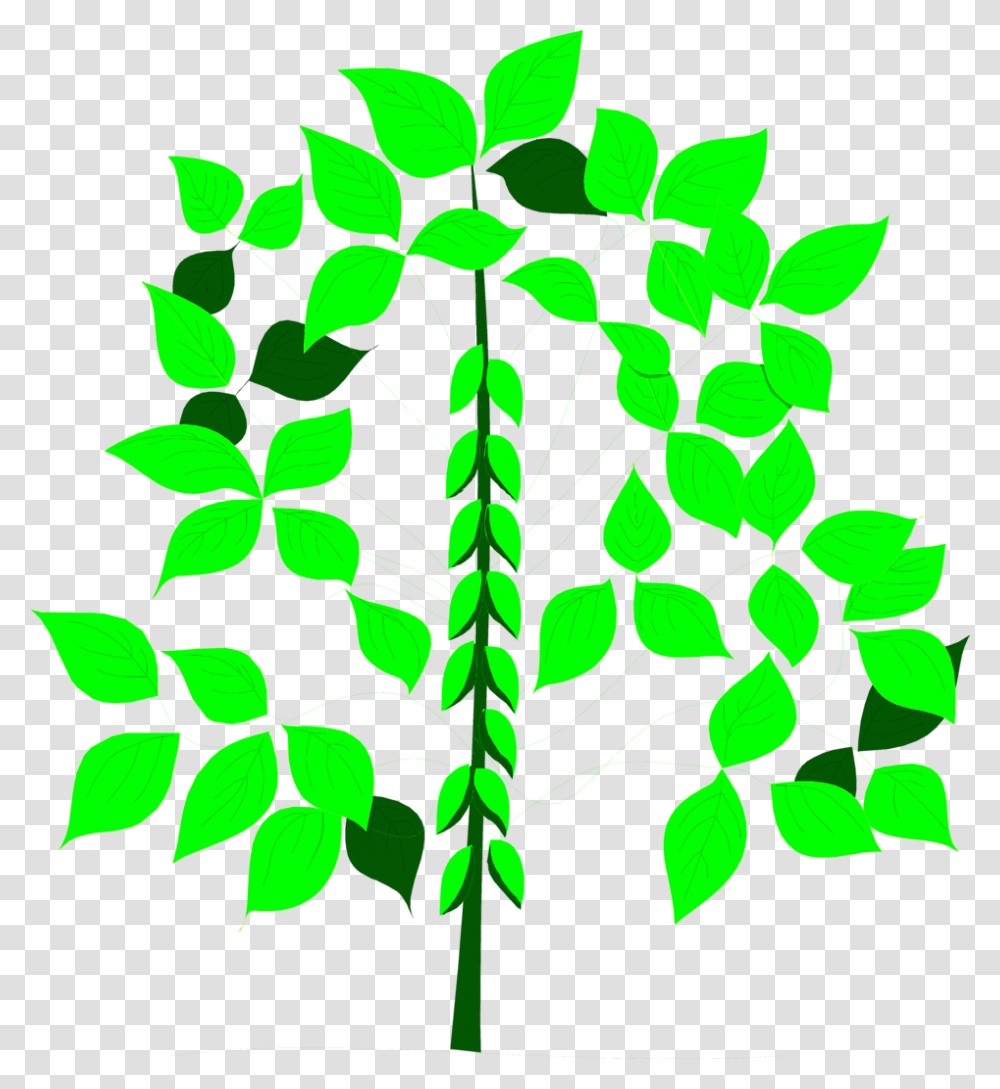 Soy Bean Free Stock Photo Illustration Of Li 6400 Li Cor, Green, Plant Transparent Png