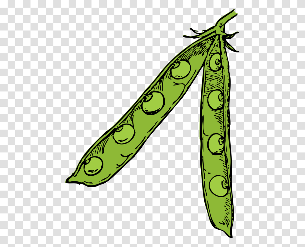 Soy Milk Edamame Soybean Soy Sauce, Plant, Pea, Vegetable, Food Transparent Png