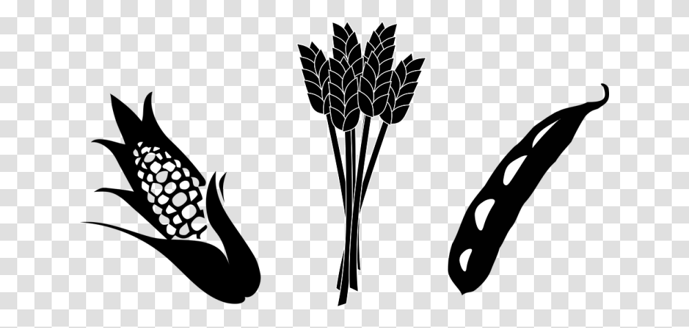 Soybean Stalk Cliparts, Plant, Vase, Jar, Pottery Transparent Png