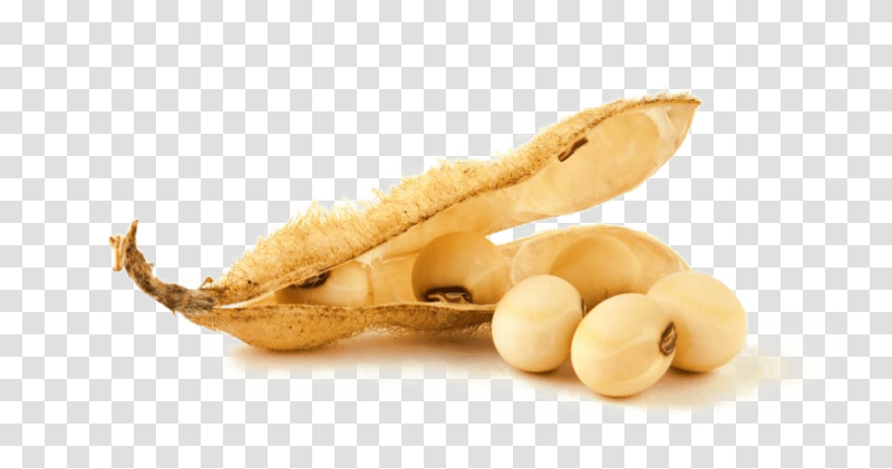 Soybean, Vegetable, Plant, Food, Banana Transparent Png