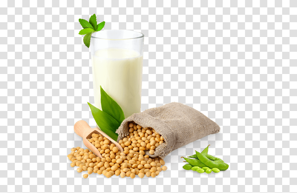 Soybean, Vegetable, Plant, Food, Beverage Transparent Png