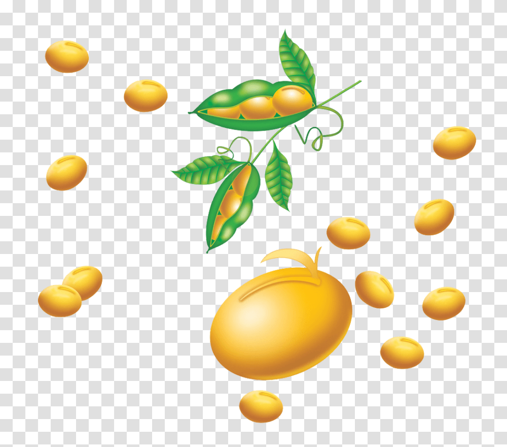 Soybean, Vegetable, Plant, Food, Egg Transparent Png
