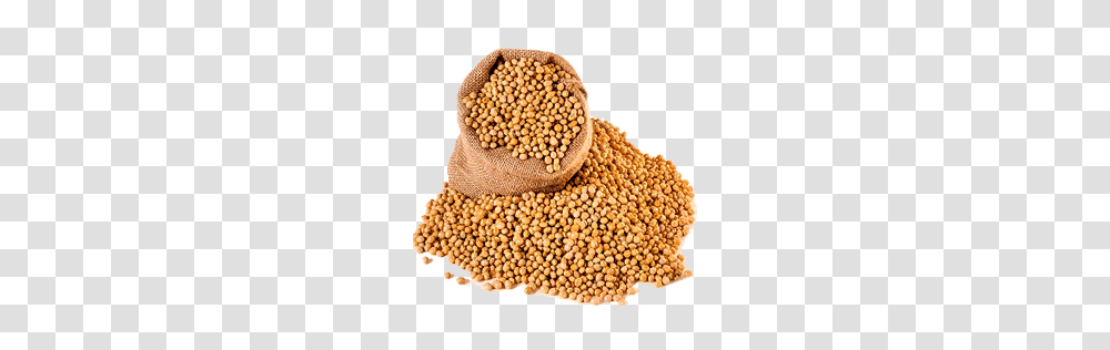 Soybean, Vegetable, Plant, Food, Mustard Transparent Png