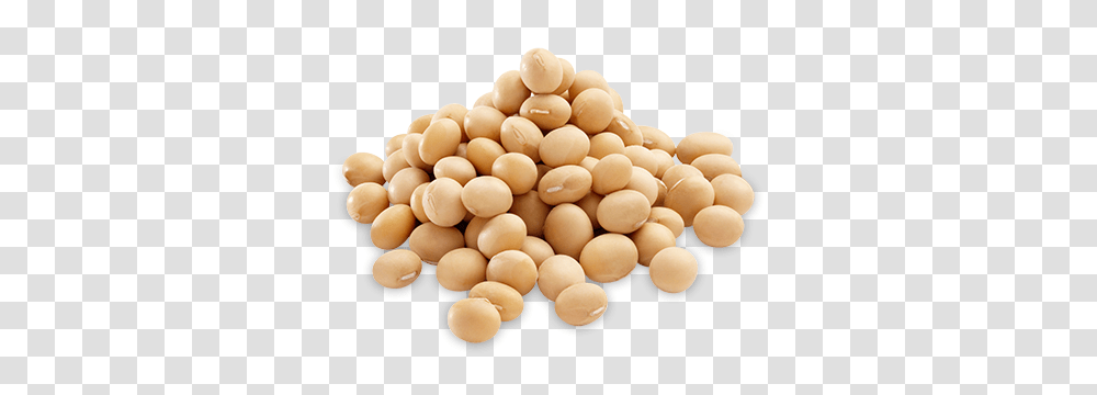 Soybean, Vegetable, Plant, Food, Pill Transparent Png