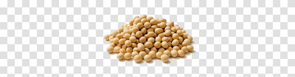 Soybean, Vegetable, Plant, Food, Pill Transparent Png