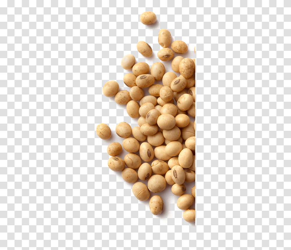Soybean, Vegetable, Plant, Food, Potato Transparent Png
