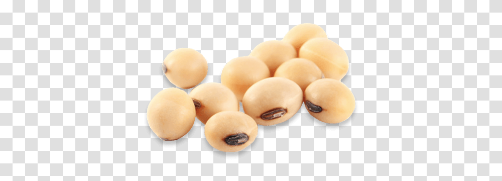 Soybean, Vegetable, Plant, Food, Produce Transparent Png