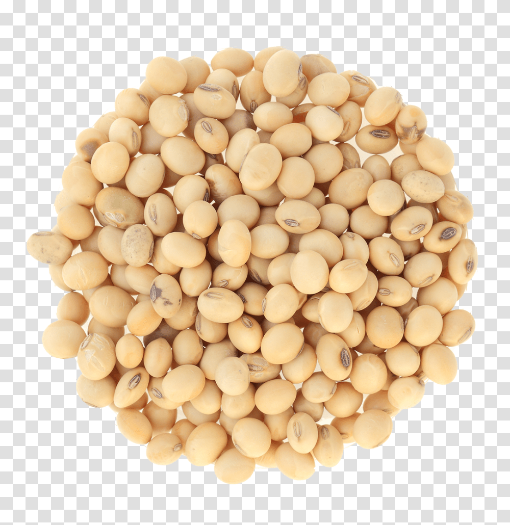 Soybean, Vegetable, Plant, Food, Produce Transparent Png