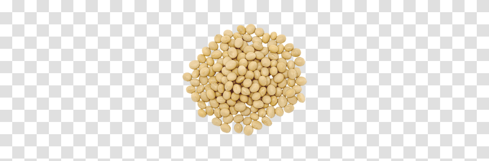 Soybean, Vegetable, Plant, Food, Rug Transparent Png