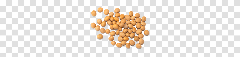 Soybean, Vegetable, Plant, Pill, Medication Transparent Png