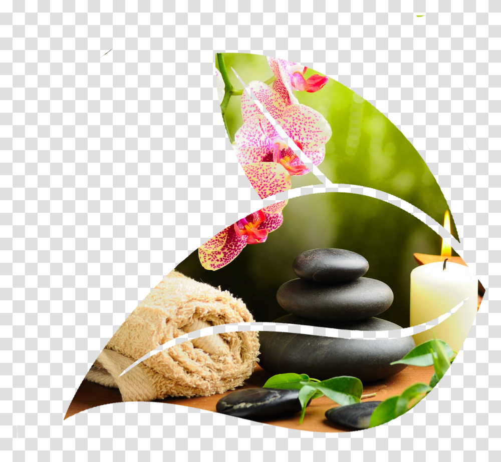 Spa, Leaf, Plant, Tabletop, Furniture Transparent Png