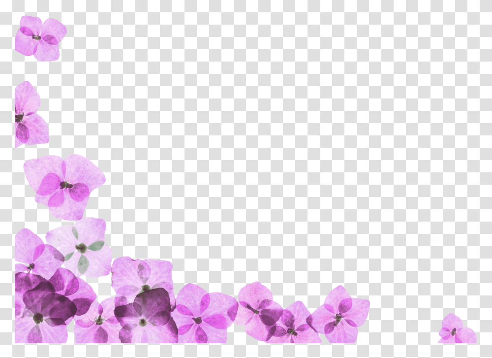Spa, Plant, Petal, Flower, Blossom Transparent Png