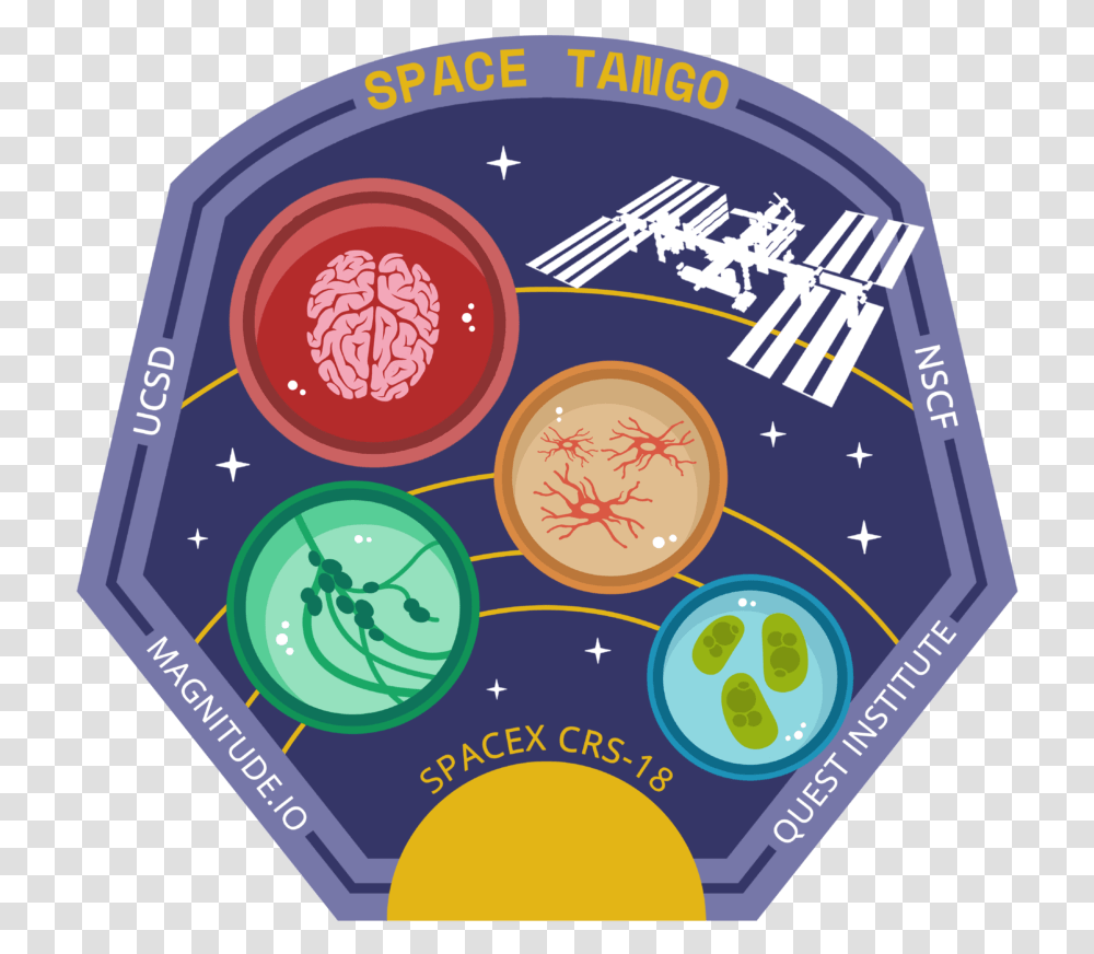 Space Tango What's Flying A Look Circle, Label, Text, Disk, Dvd Transparent Png