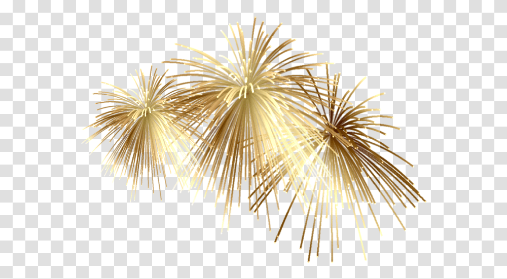 Spagetti Background Fireworks, Nature, Outdoors, Chandelier, Lamp Transparent Png