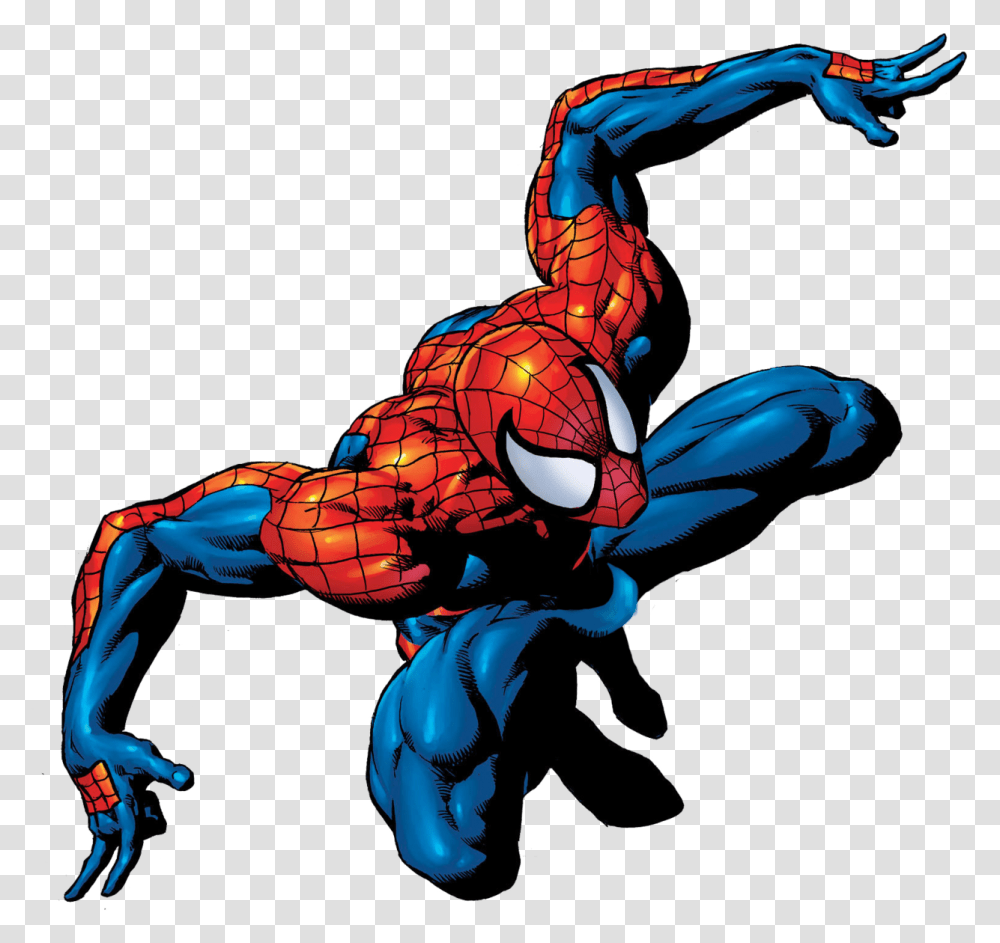 Spaider Man, Animal, Person Transparent Png