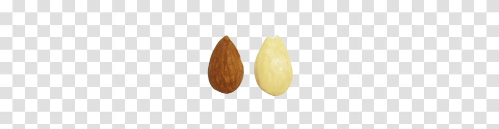 Spanish Almonds Borges Agricultural Industrial Nuts, Plant, Vegetable, Food, Bread Transparent Png