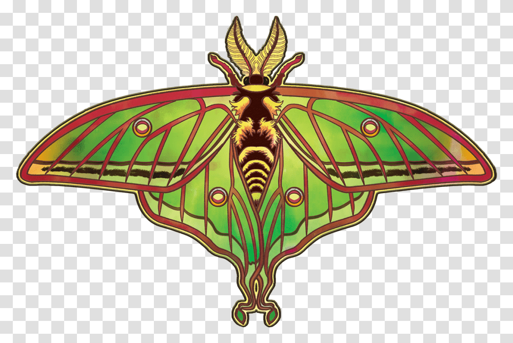 Spanish Luna Moth, Butterfly, Insect, Invertebrate, Animal Transparent Png