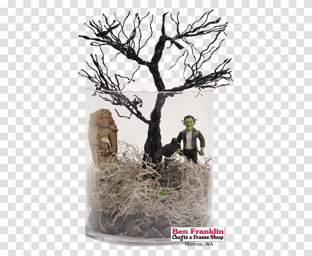 Spanish Moss Hay, Bird, Person, Architecture Transparent Png