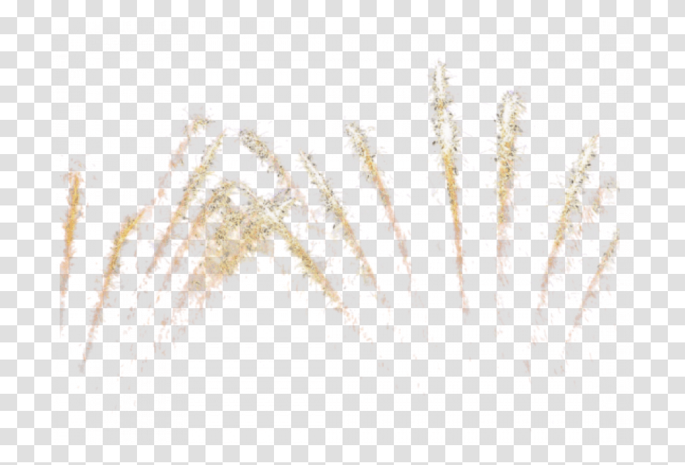 Sparkle Fireworks, Nature, Outdoors, Plant, Night Transparent Png