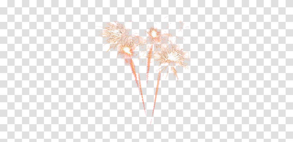 Sparkler Clipart Free Background Real Fireworks, Nature, Outdoors, Night Transparent Png