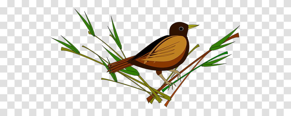 Sparrow Animals, Bird, Bow, Robin Transparent Png