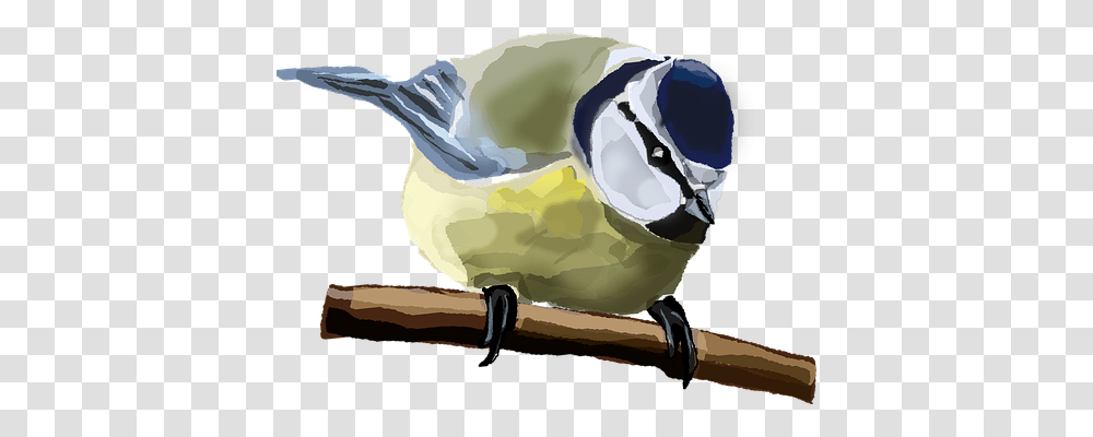 Sparrow Animals, Plant, Bird, Food Transparent Png