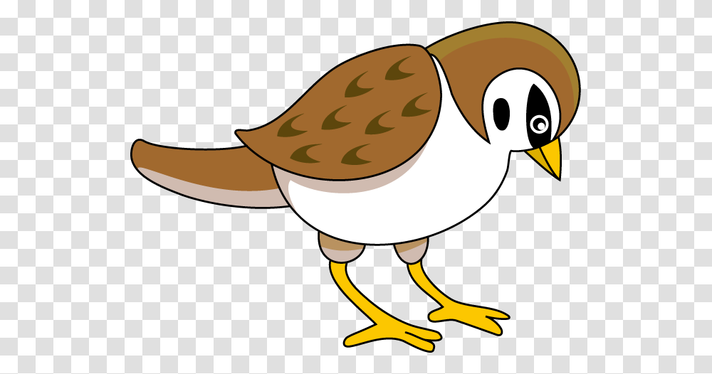 Sparrow, Animal, Bird, Poultry, Fowl Transparent Png