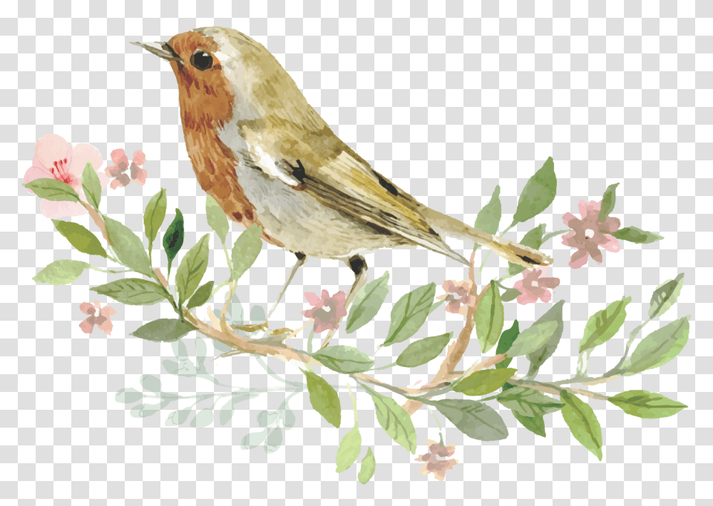 Sparrow Bird Watercolor Painting Bird Watercolor, Animal, Finch, Robin, Jay Transparent Png