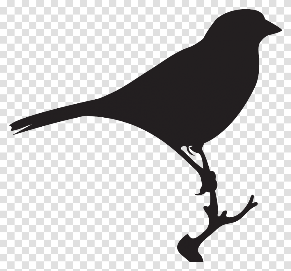 Sparrow Black And White, Bird, Animal, Silhouette, Blackbird Transparent Png