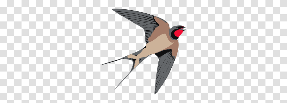 Sparrow Clip Art, Swallow, Bird, Animal, Bee Eater Transparent Png