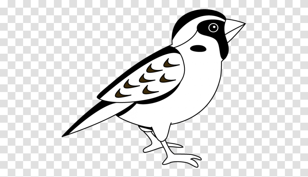 Sparrow Clipart Nice Clip Art, Bird, Animal, Stencil, Silhouette Transparent Png