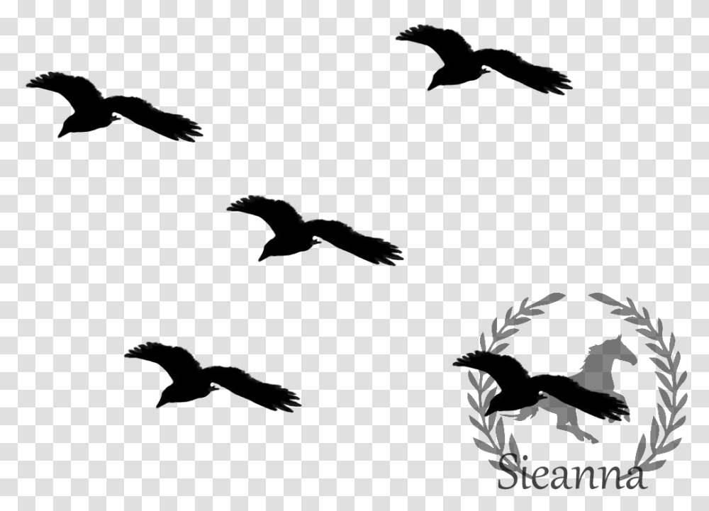 Sparrow Silhouette Black Birds Clip Art, Outdoors, Nature, Gray, Astronomy Transparent Png