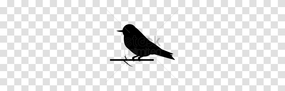 Sparrow Silhouette Clipart, Bow, Tool Transparent Png