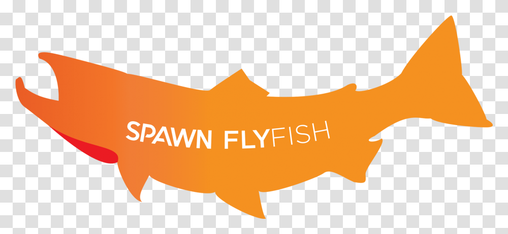 Spawn Fly Fish, Animal, Axe, Food, Sea Life Transparent Png