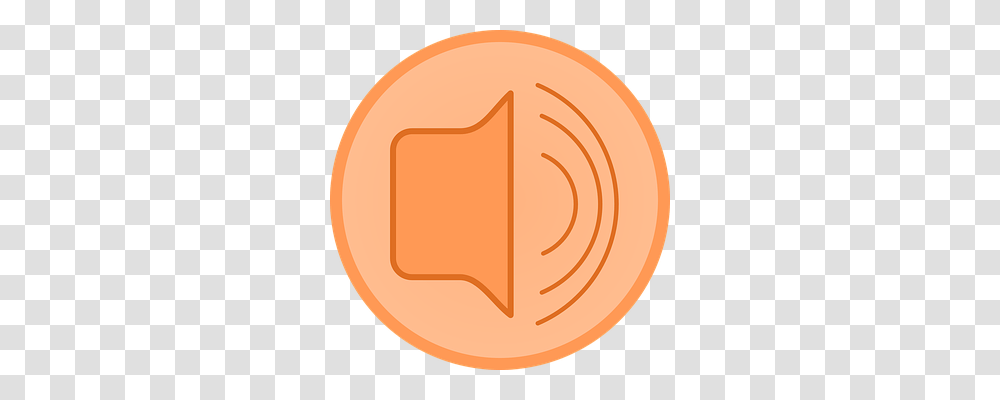 Speaker Coin, Money, Wood Transparent Png