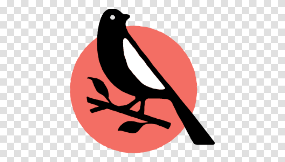 Speakers - Mockingbird Events Perching Bird, Stencil, Symbol, Logo, Trademark Transparent Png