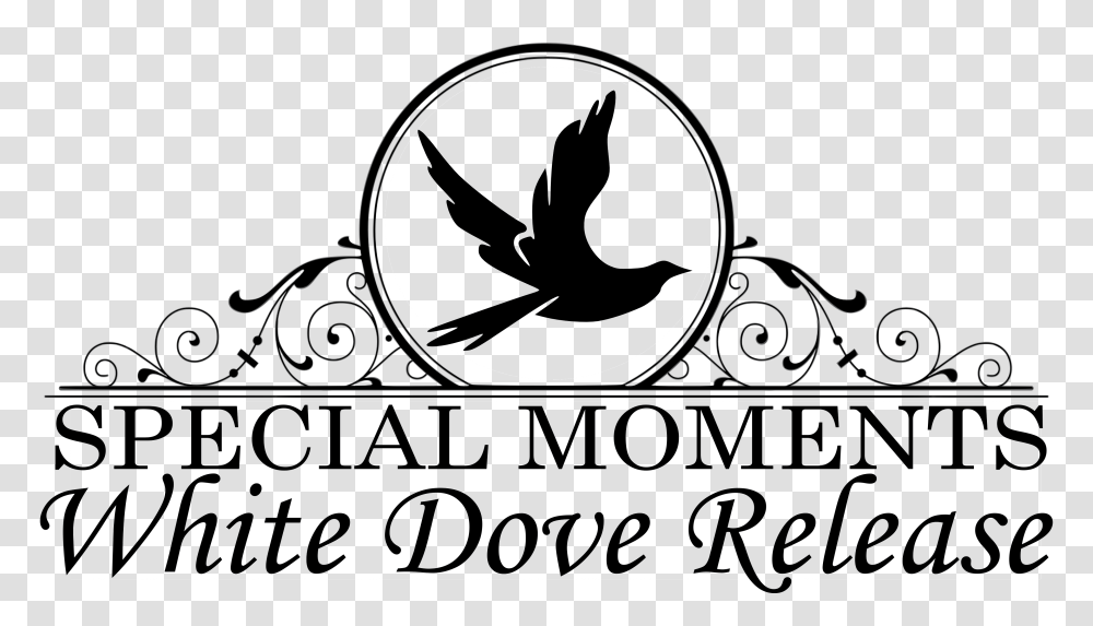 Special Moments White Dove Release, Stencil, Logo Transparent Png
