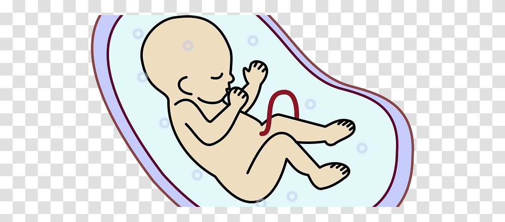 Special Prayers For My Unborn Baby In The Womb, Meal, Food, Leisure Activities, Reading Transparent Png