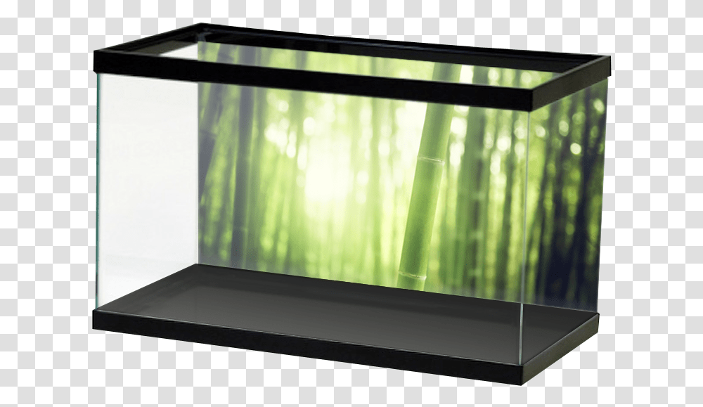 Specialty Bambooforest, Water, Monitor, Screen, Electronics Transparent Png