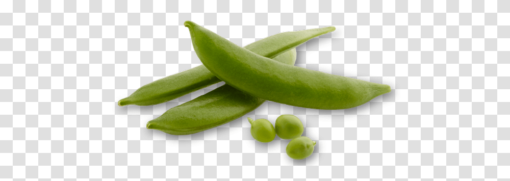 Specialty Produce Auerpak Snap Pea, Plant, Vegetable, Food, Green Transparent Png