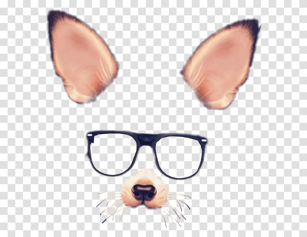 Spectacles Snapchat Photographic Filter, Sunglasses, Accessories, Accessory, Animal Transparent Png